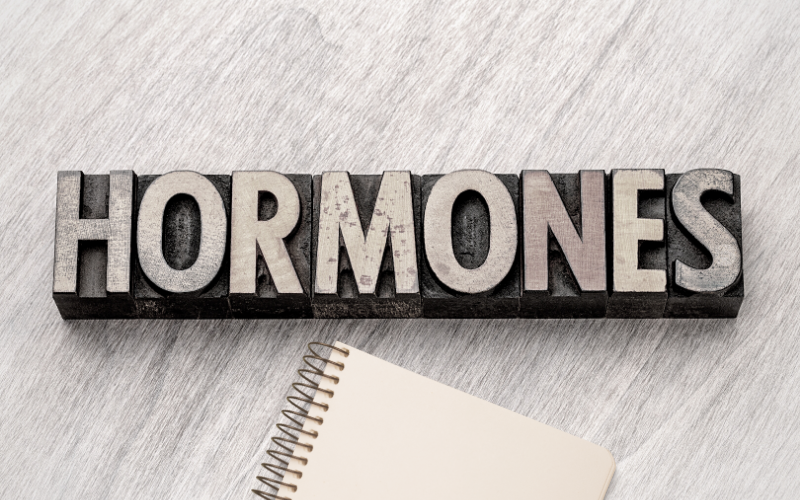 The 7 Hormones Everyone Should Know